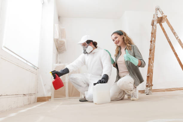 Environmental Consulting for Mold Prevention in Nixa, MO